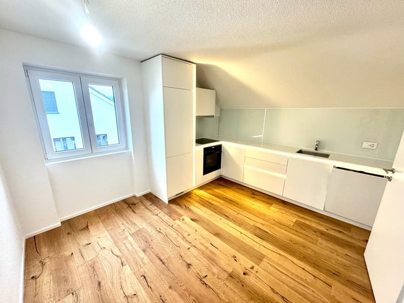 ERSTVERMIETUNG: Wunderschöne 2.5 Zimmer Attika-Wohnungen in Wangen bei Olten (5)