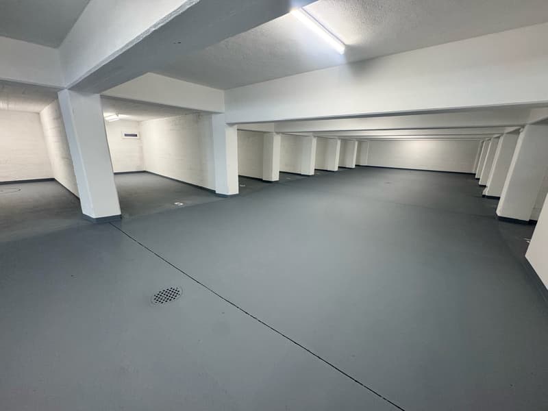 3. Etappe - ERSTVERMIETUNG: Wunderschöne 5.5-Zimmer-Wohnungen in Baden (18)