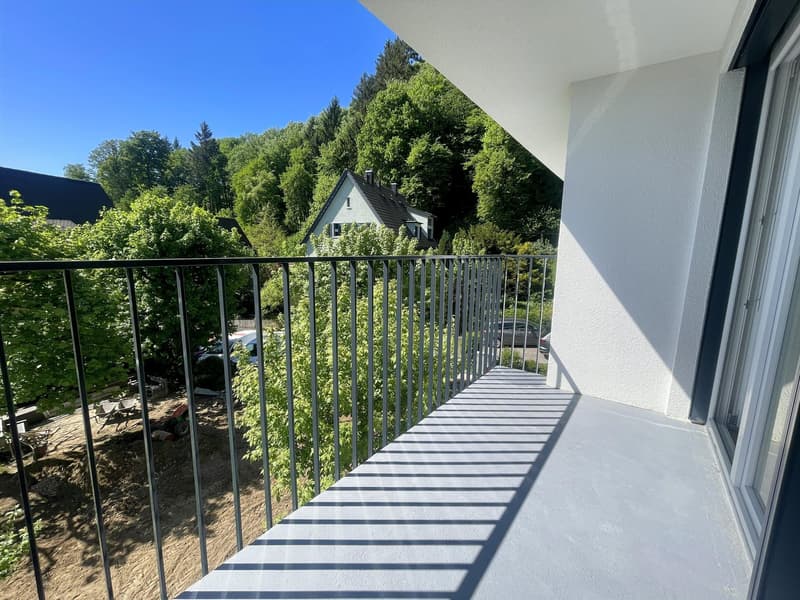 3. Etappe - ERSTVERMIETUNG: Wunderschöne 5.5-Zimmer-Wohnungen in Baden (14)
