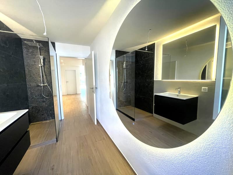 3. Etappe - ERSTVERMIETUNG: Wunderschöne 5.5-Zimmer-Wohnungen in Baden (3)