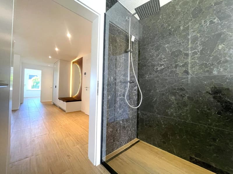 3. Etappe - ERSTVERMIETUNG: Wunderschöne 5.5-Zimmer-Wohnungen in Baden (1)