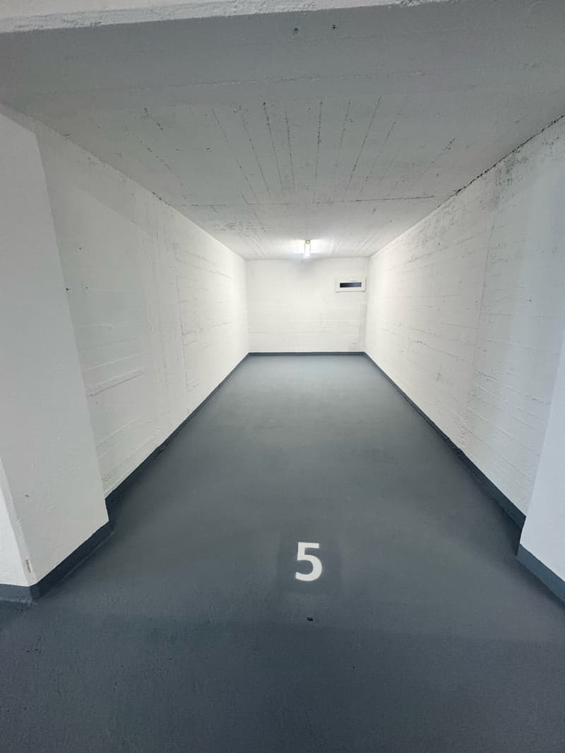 3. Etappe - ERSTVERMIETUNG: Wunderschöne 5.5-Zimmer-Wohnungen in Baden (19)
