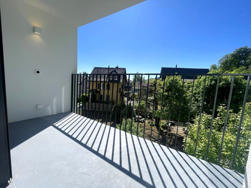 3. Etappe - ERSTVERMIETUNG: Wunderschöne 4.5-Zimmer-Wohnungen in Baden (14)