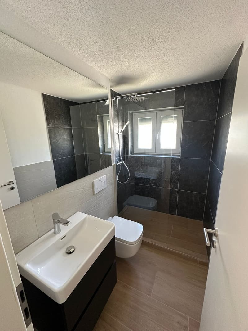 Charmante 3.5-Zimmer-Erdgeschosswohnung in Wangen bei Olten – sofort verfügbar! (9)