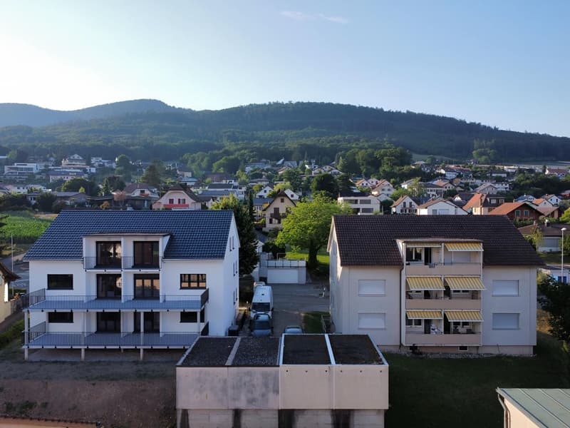 Charmante 3.5-Zimmer-Erdgeschosswohnung in Wangen bei Olten – sofort verfügbar! (13)