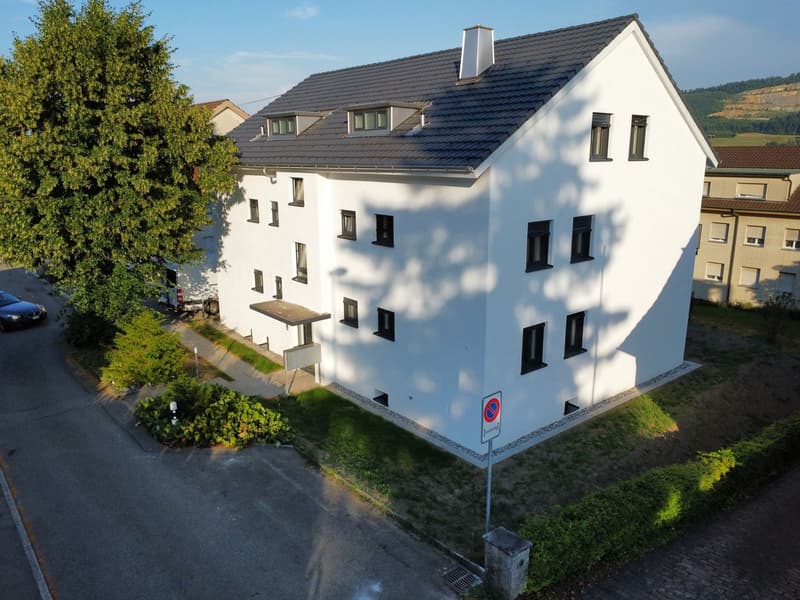 Charmante 3.5-Zimmer-Erdgeschosswohnung in Wangen bei Olten – sofort verfügbar! (14)