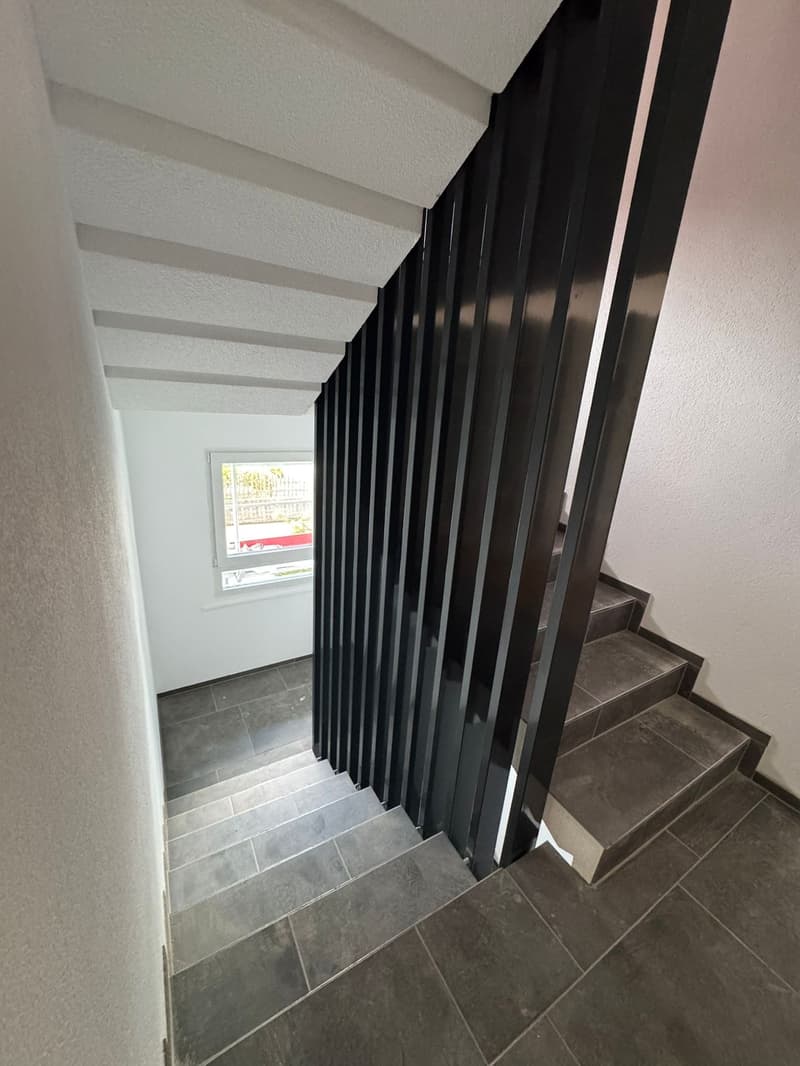 Charmante 3.5-Zimmer-Erdgeschosswohnung in Wangen bei Olten – sofort verfügbar! (5)
