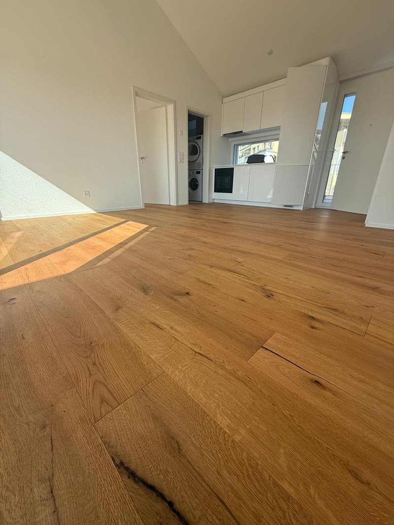 Tolle 2.5 Zimmer Attika-Wohnungen an erstklassiger Lage (4)