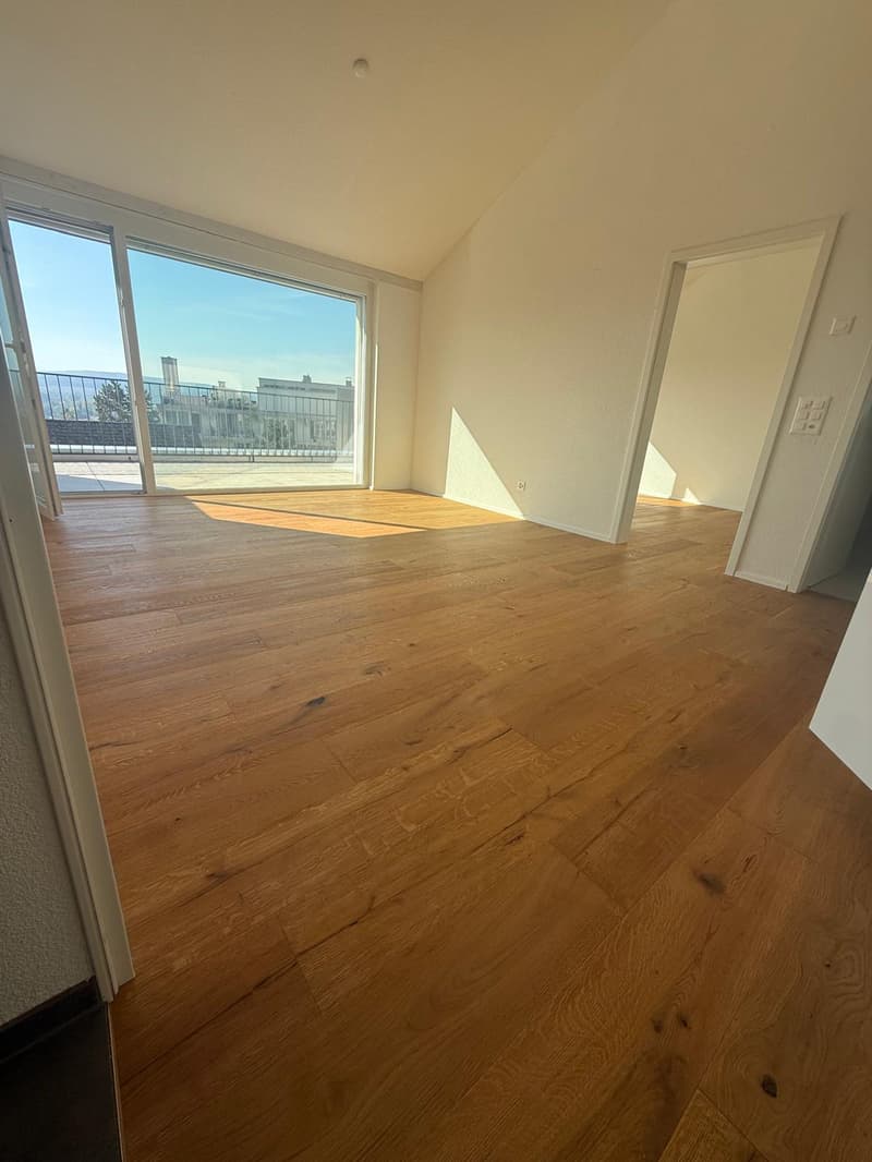 Tolle 2.5 Zimmer Attika-Wohnungen an erstklassiger Lage (3)
