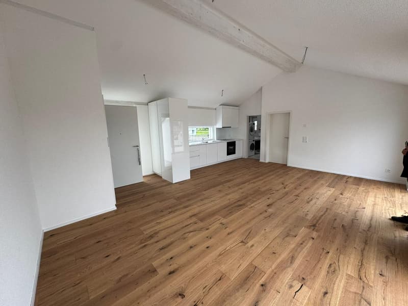 Tolle 2.5 Zimmer Attika-Wohnungen an erstklassiger Lage (6)