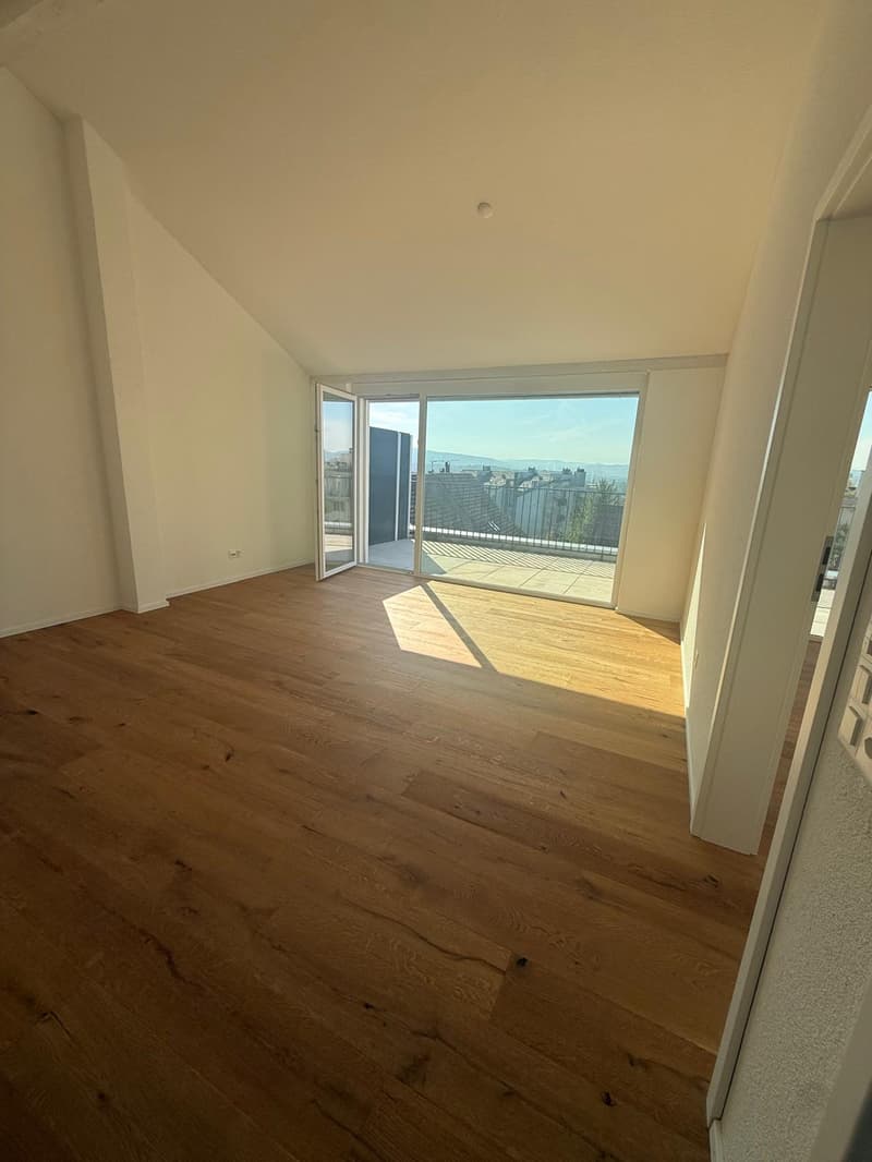 Tolle 2.5 Zimmer Attika-Wohnungen an erstklassiger Lage (1)