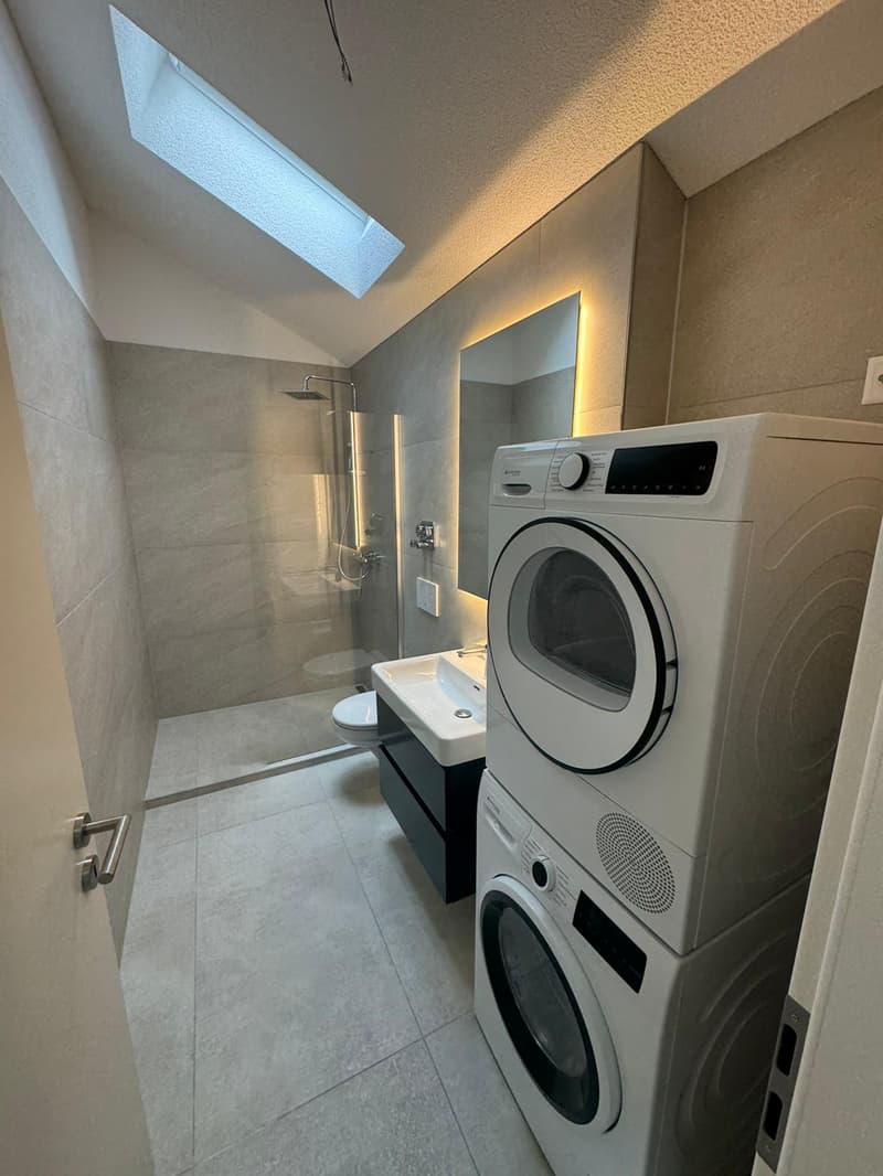 Tolle 2.5 Zimmer Attika-Wohnungen an erstklassiger Lage (5)