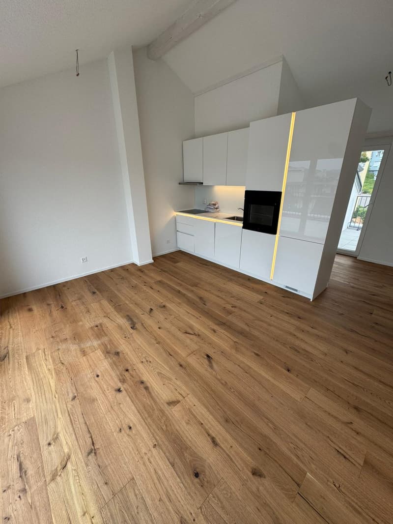 Tolle 2.5 Zimmer Attika-Wohnungen an erstklassiger Lage (1)