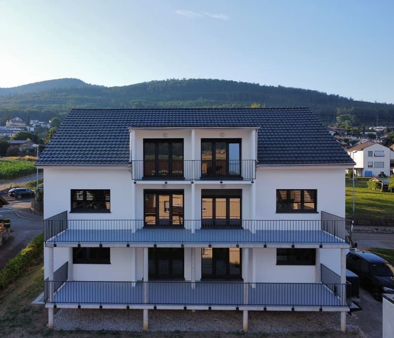ERSTVERMIETUNG: Wunderschöne 3.5 Zimmer Wohnungen in Wangen bei Olten (10)