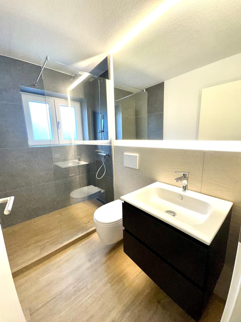 ERSTVERMIETUNG: Wunderschöne 3.5 Zimmer Wohnungen in Wangen bei Olten (1)