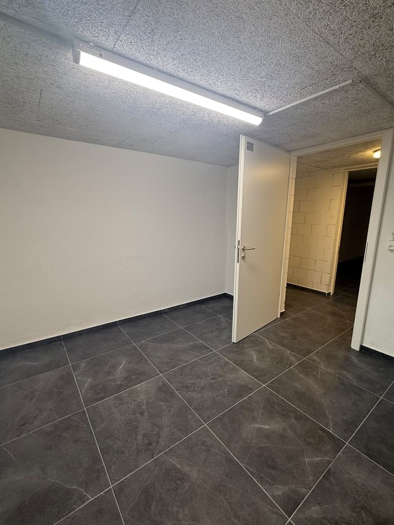 NEUE Hobbyräume in Dottikon zu Vermieten (2)