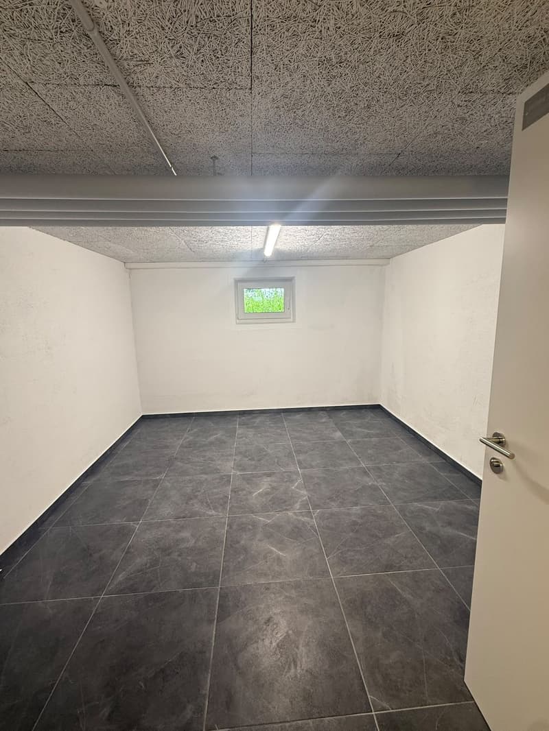 NEUE Hobbyräume in Dottikon zu Vermieten (8)