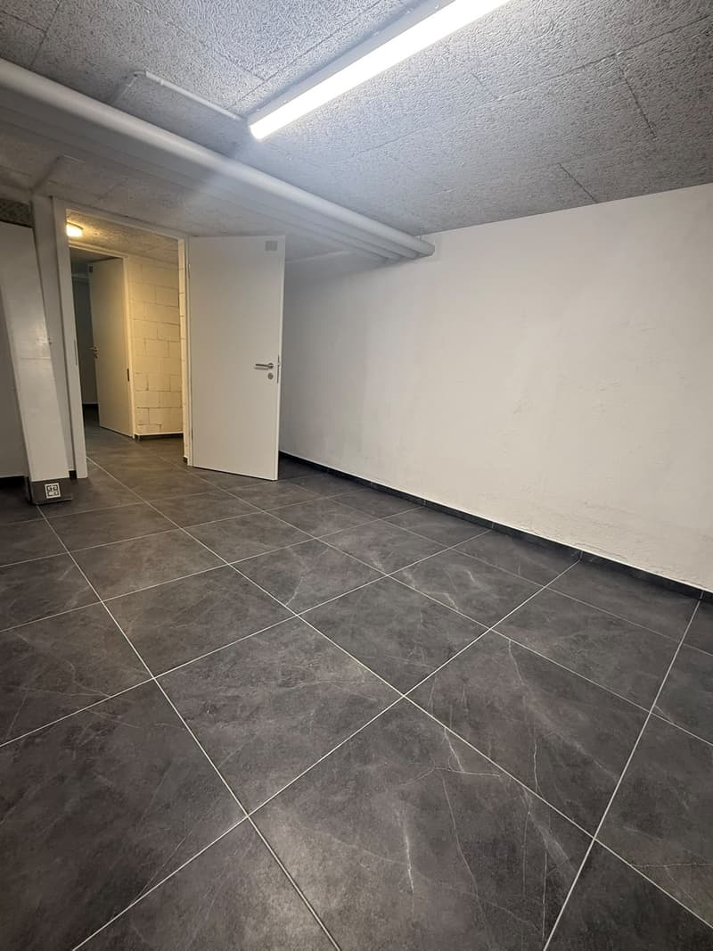 NEUE Hobbyräume in Dottikon zu Vermieten (6)