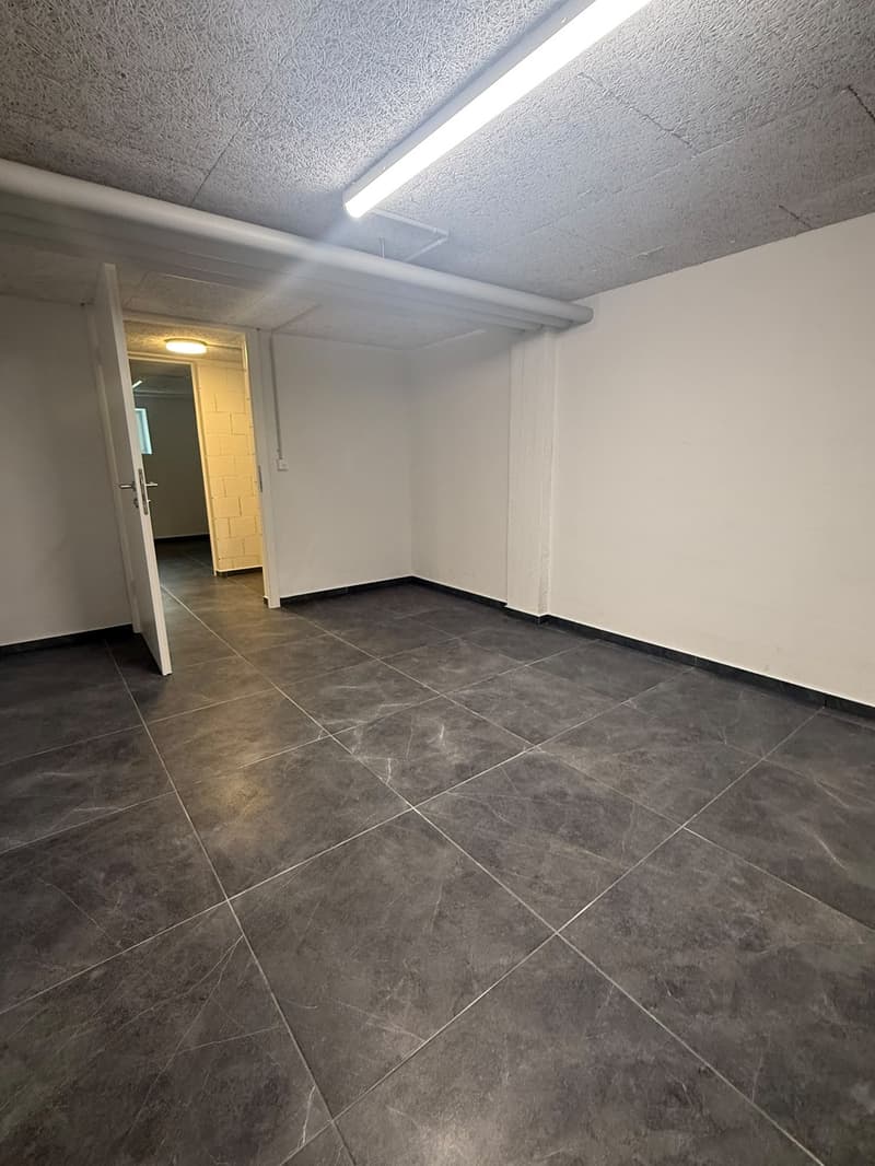 NEUE Hobbyräume in Dottikon zu Vermieten (7)