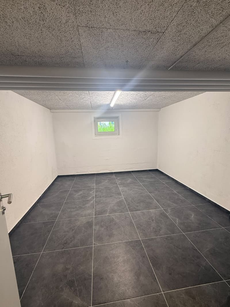 NEUE Hobbyräume in Dottikon zu Vermieten (5)