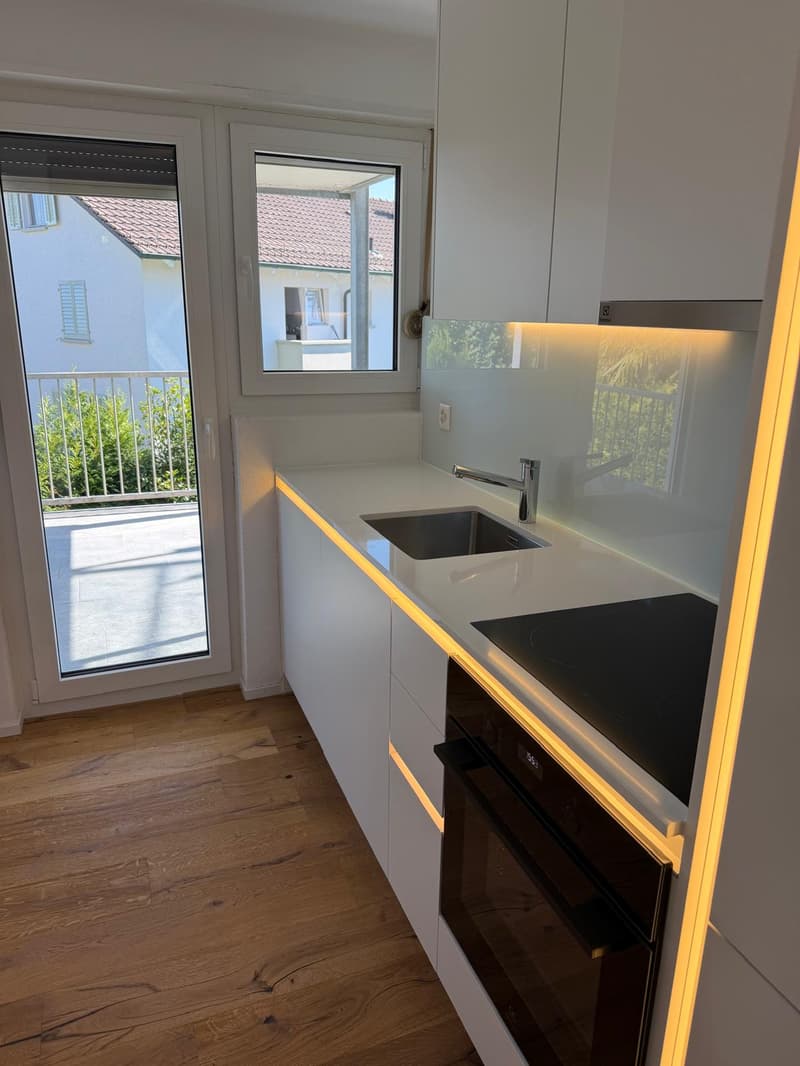 NEU Sanierte 2-Zimmer-Wohnung mit Balkon und Bergblick in Luzern (1)