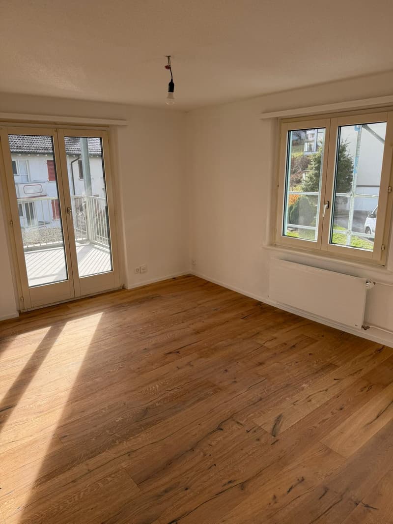 NEU Sanierte 2-Zimmer-Wohnung mit Balkon und Bergblick in Luzern (2)