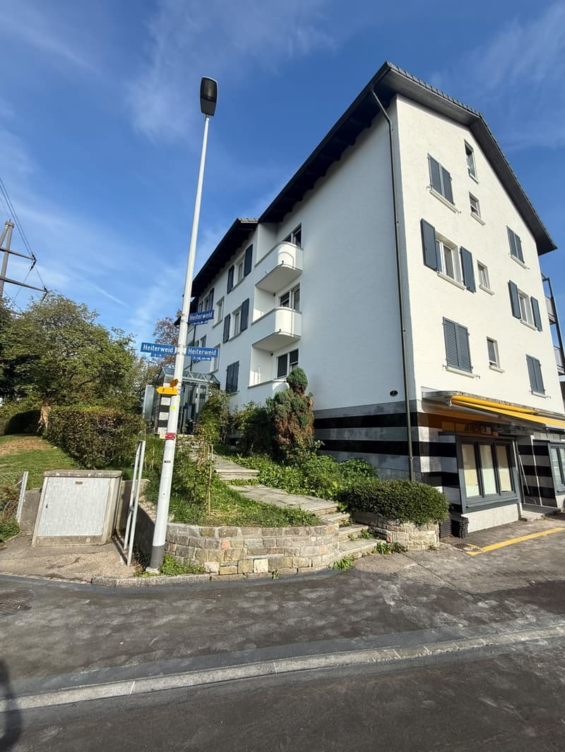 NEU Sanierte 2-Zimmer-Wohnung mit Balkon und Bergblick in Luzern (7)