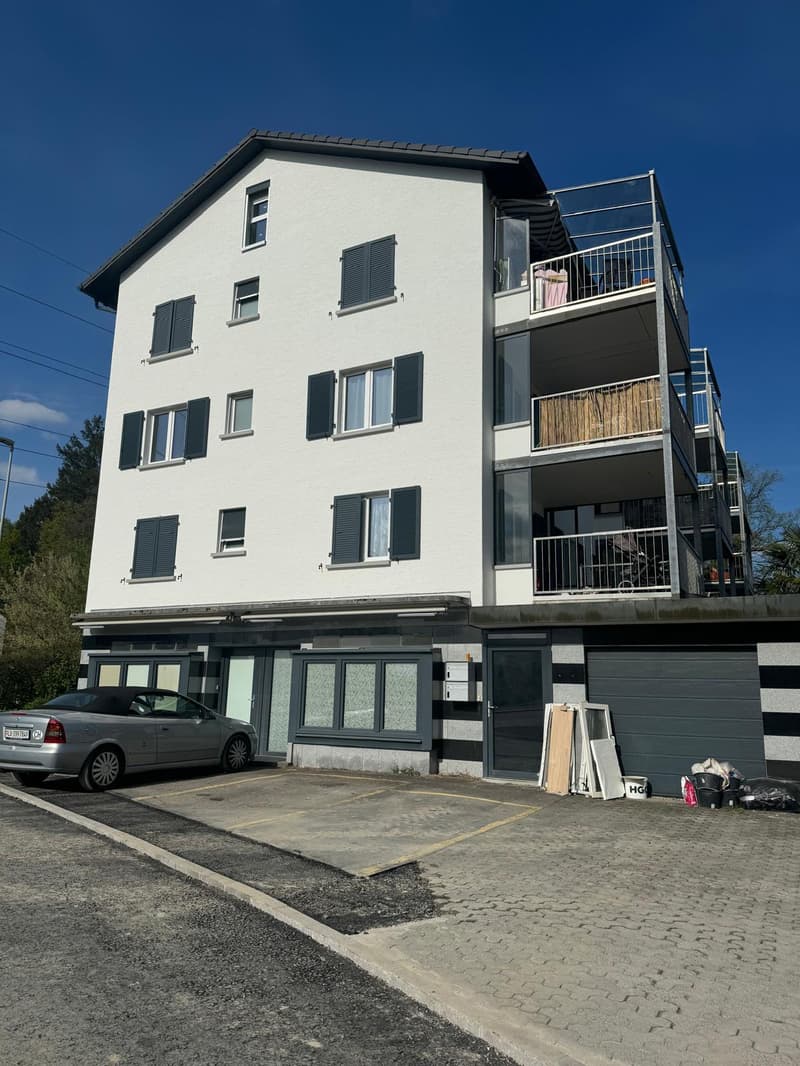 NEU Sanierte 2-Zimmer-Wohnung mit Balkon und Bergblick in Luzern (9)