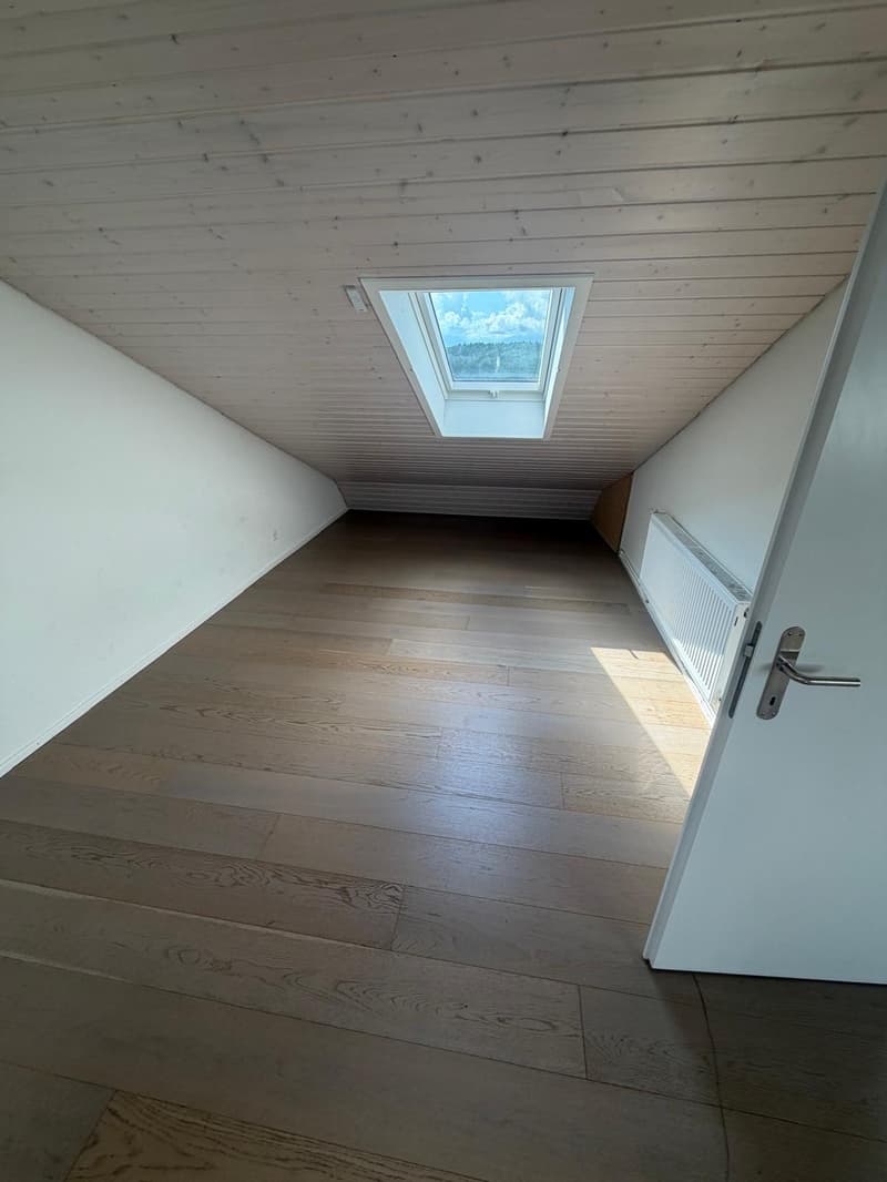 Charmante 4-Zimmer-Dachwohnung mit Aussicht in Luzern-Reussbühl (6)