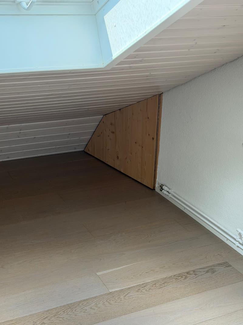 Charmante 4-Zimmer-Dachwohnung mit Aussicht in Luzern-Reussbühl (5)