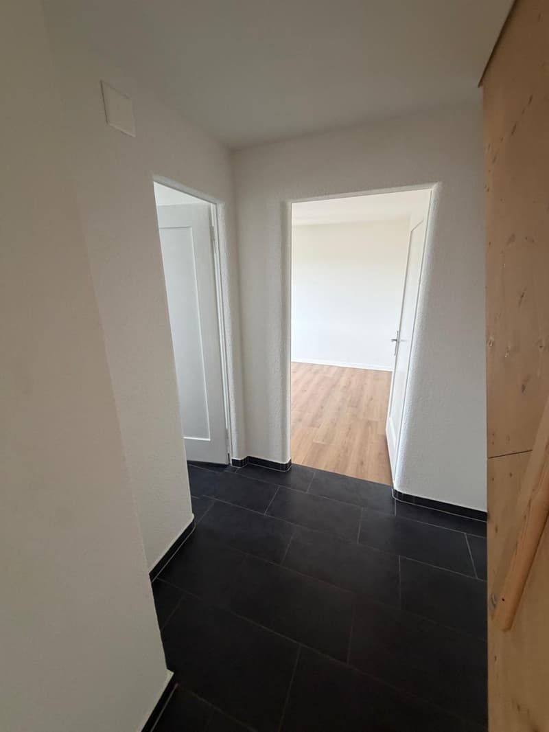 Charmante 4-Zimmer-Dachwohnung mit Aussicht in Luzern-Reussbühl (15)