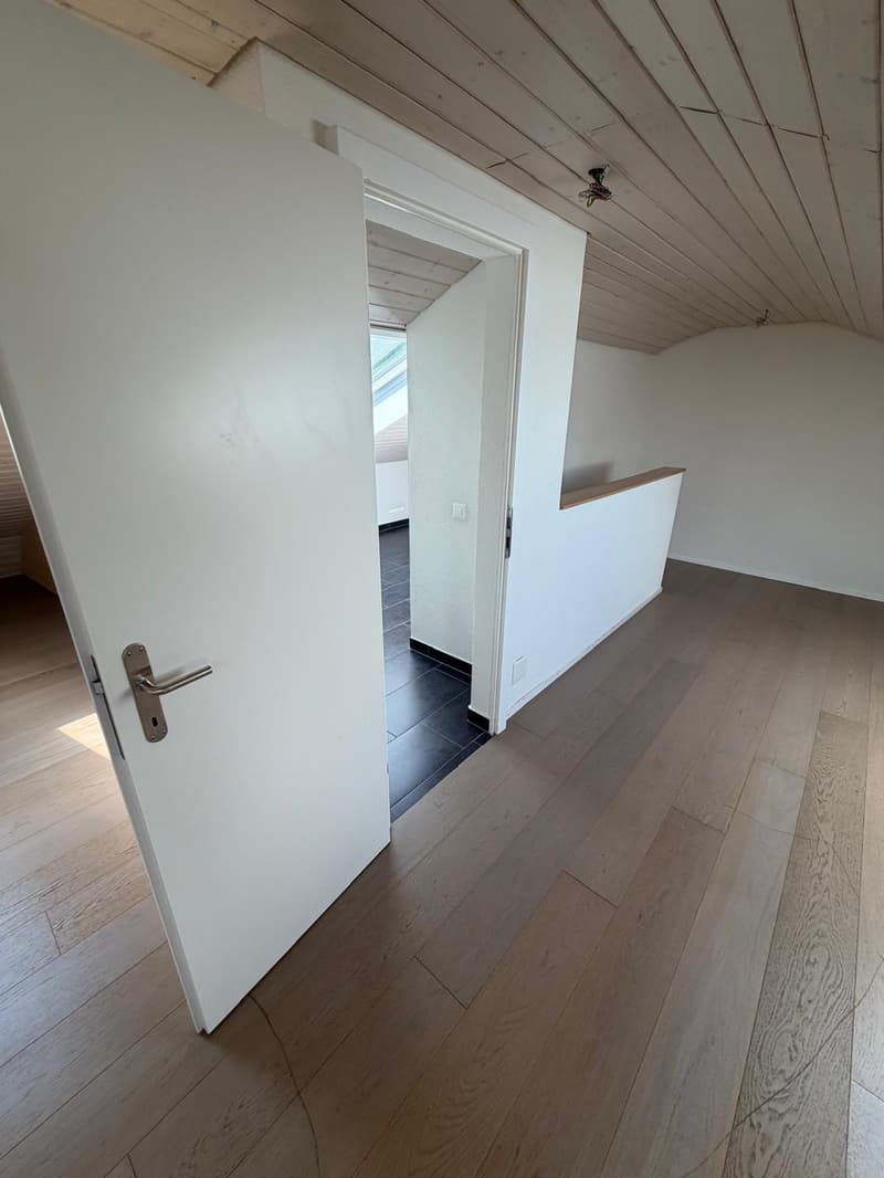 Charmante 4-Zimmer-Dachwohnung mit Aussicht in Luzern-Reussbühl (10)