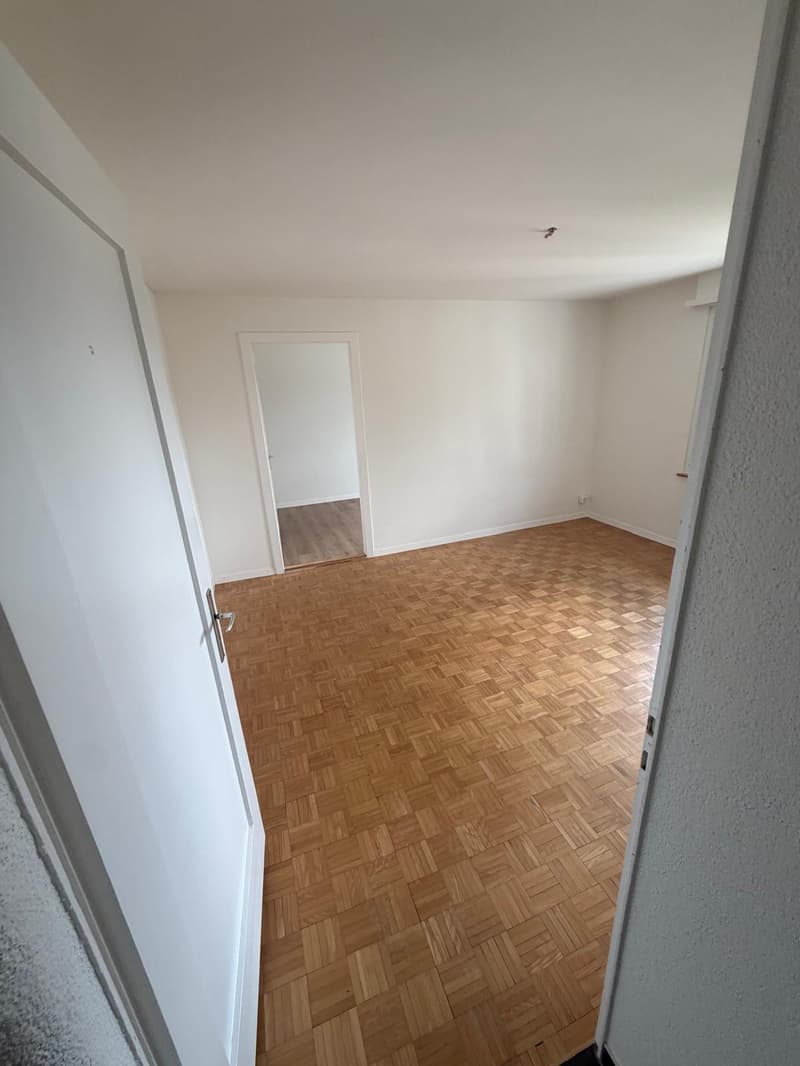 Charmante 4-Zimmer-Dachwohnung mit Aussicht in Luzern-Reussbühl (14)