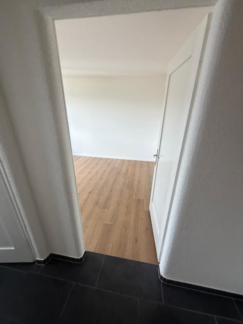 Charmante 4-Zimmer-Dachwohnung mit Aussicht in Luzern-Reussbühl (4)
