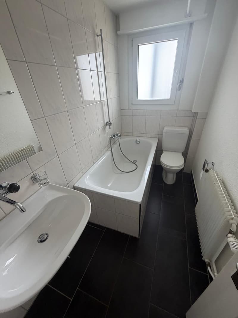 Charmante 4-Zimmer-Dachwohnung mit Aussicht in Luzern-Reussbühl (9)