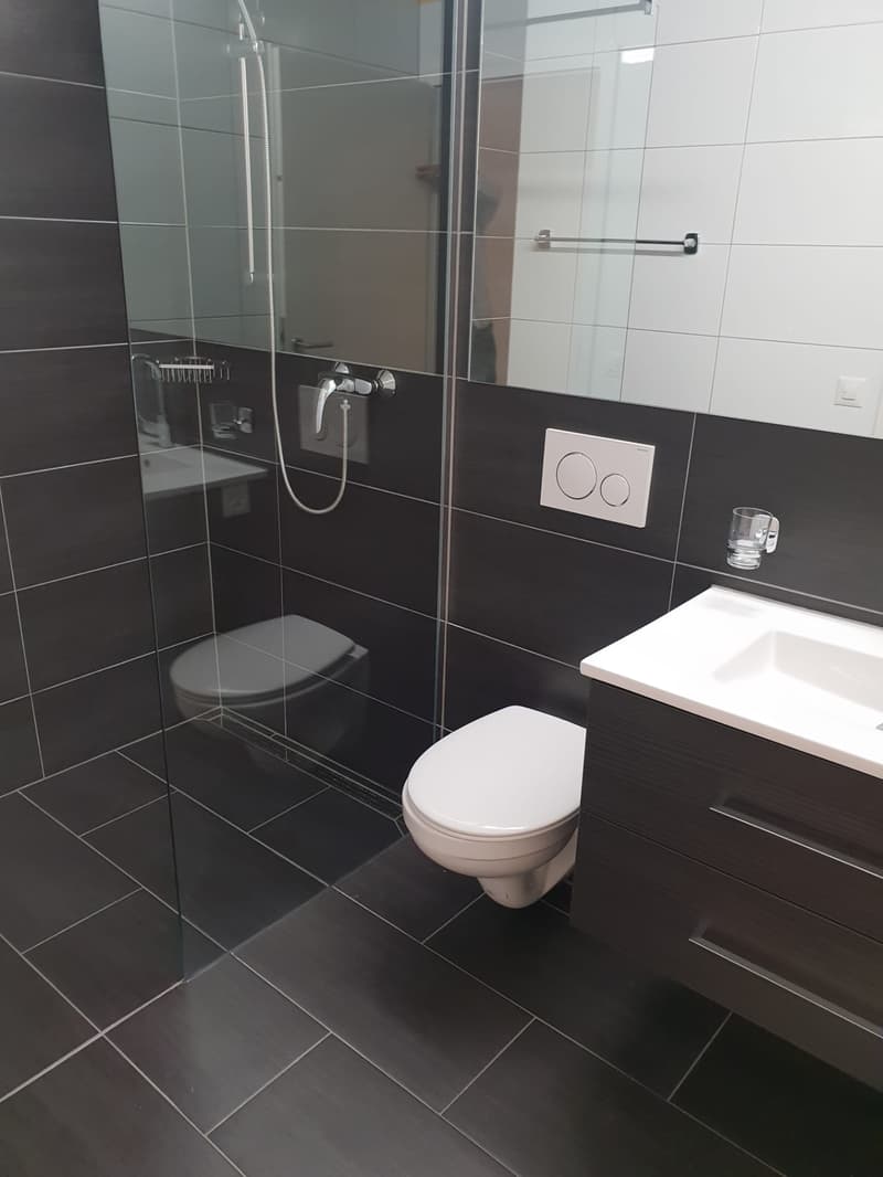 Charmante 1.5-Zimmer-Wohnung mit Balkon in Rothrist – sofort verfügbar! (1)