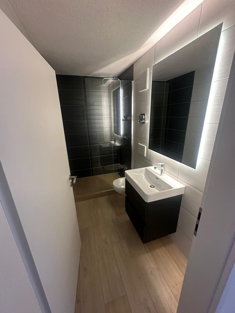 Helle 5.5-Zimmer-Wohnung mit Balkon in Geroldswil (3)