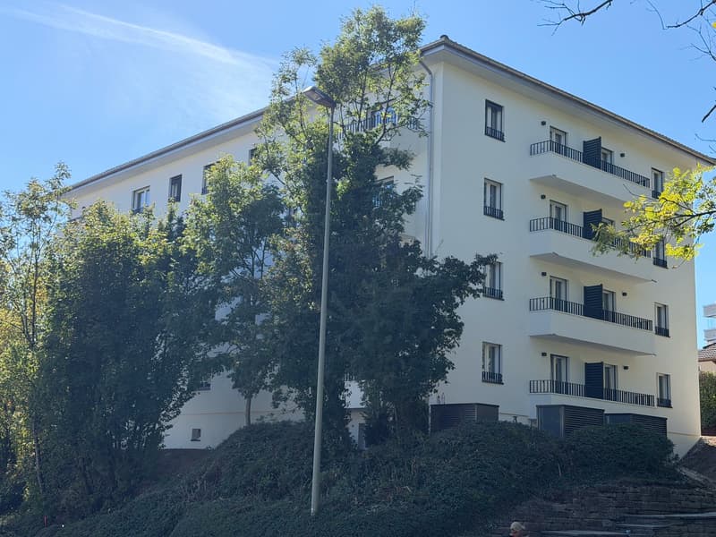 ERSTVERMIETUNG: Wunderschöne 3.5 Zimmerwohnung an toller Lage (14)