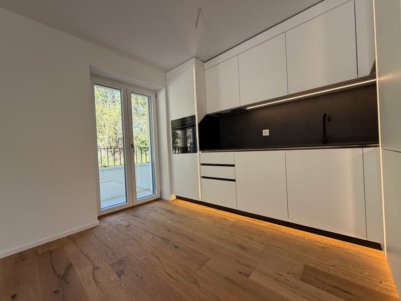 ERSTVERMIETUNG: Wunderschöne 4.5 Zimmerwohnung an toller Lage (1)