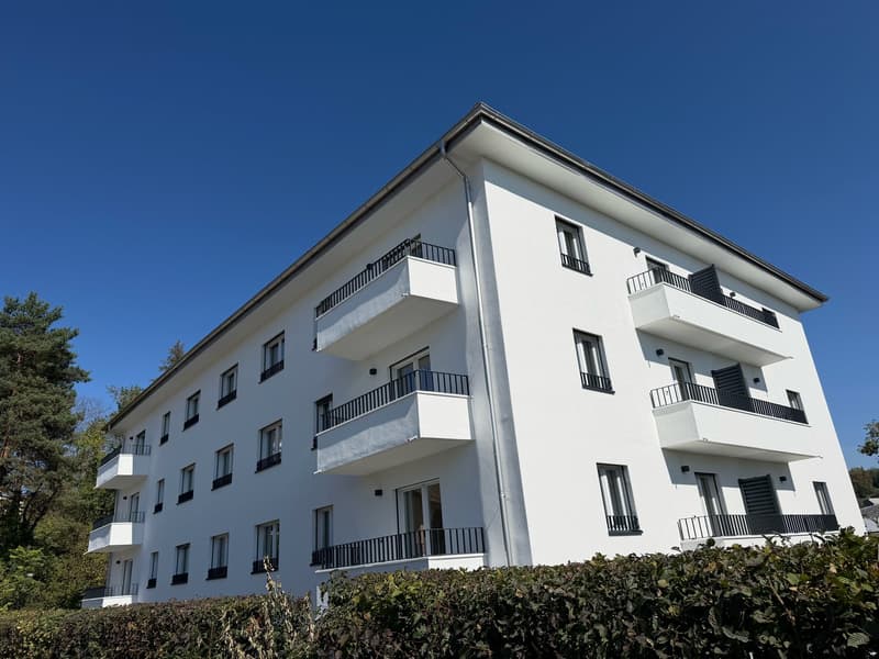 ERSTVERMIETUNG: Wunderschöne 4.5 Zimmerwohnung an toller Lage (14)