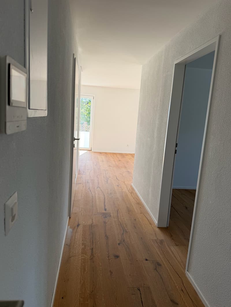 ERSTVERMIETUNG: Wunderschöne 4.5 Zimmerwohnung an toller Lage (5)