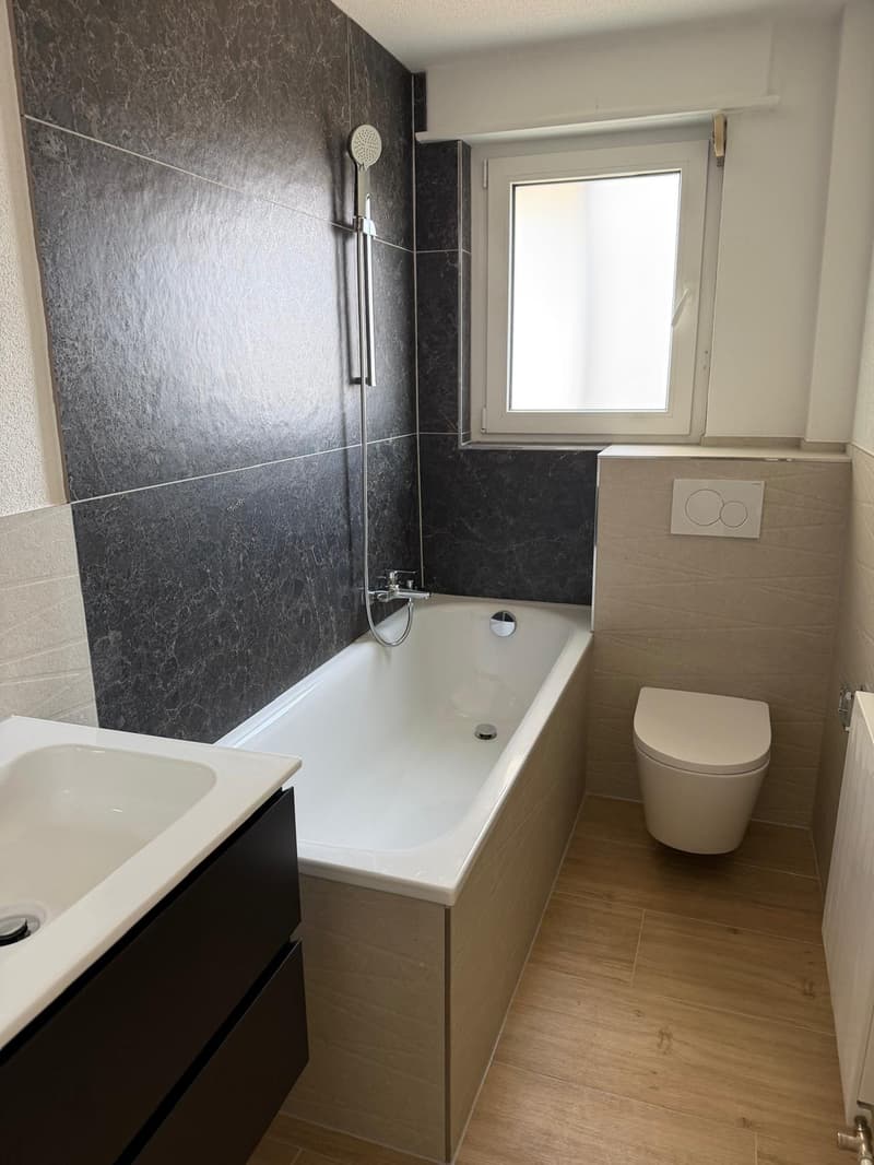NEU Sanierte 2-Zimmer-Wohnung mit Balkon und Bergblick in Luzern (3)