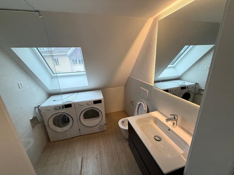 ERSTVERMIETUNG: Wunderschöne 2.5-Zimmer-Wohnungen in Olten (6)