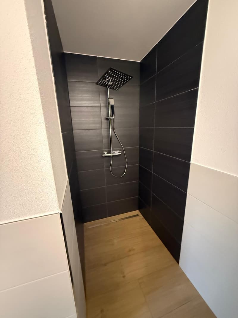 ERSTVERMIETUNG: Wunderschöne 2.5-Zimmer-Wohnungen in Olten (3)