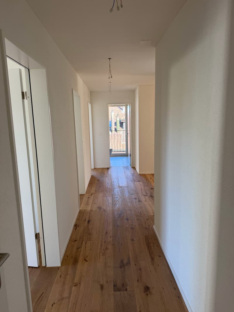 ERSTVERMIETUNG: Wunderschöne 4.5-Zimmer-Neubauwohnungen in Emmenbrücke (9)
