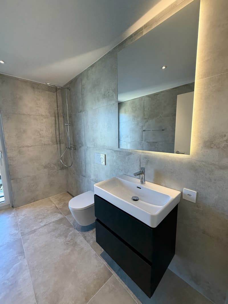 ERSTVERMIETUNG: Wunderschöne 4.5-Zimmer-Neubauwohnungen in Emmenbrücke (6)