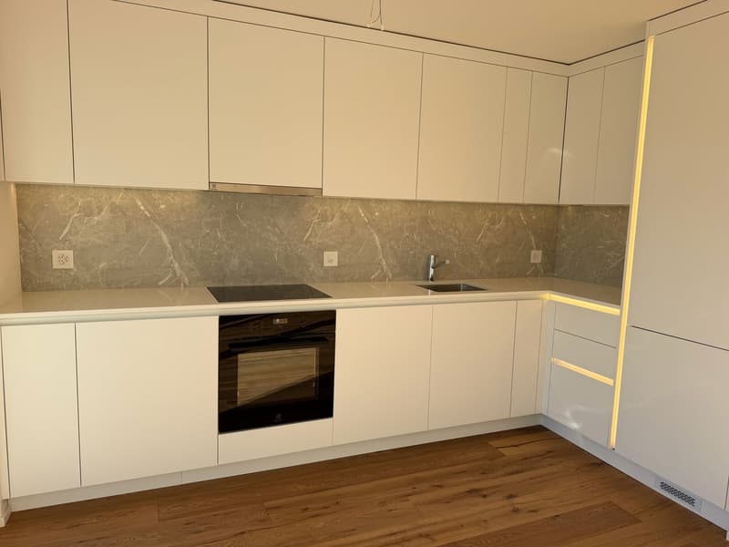 ERSTVERMIETUNG: Wunderschöne 4.5-Zimmer-Neubauwohnungen in Emmenbrücke (3)