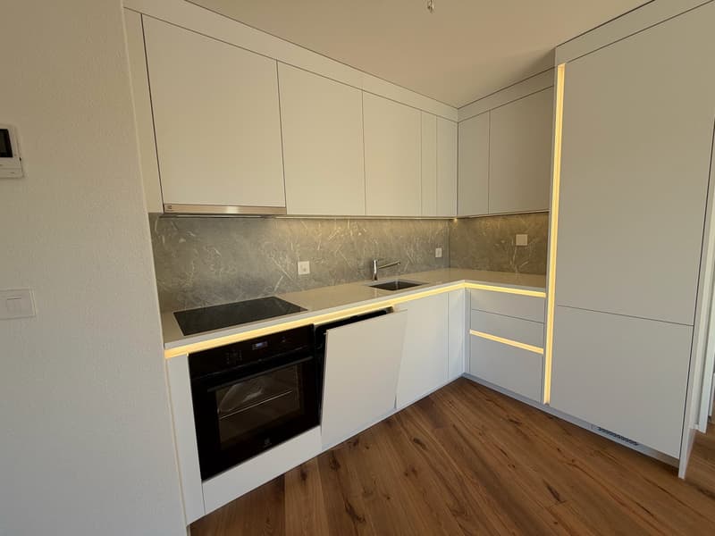 ERSTVERMIETUNG: Wunderschöne 4.5-Zimmer-Neubauwohnungen in Emmenbrücke (4)