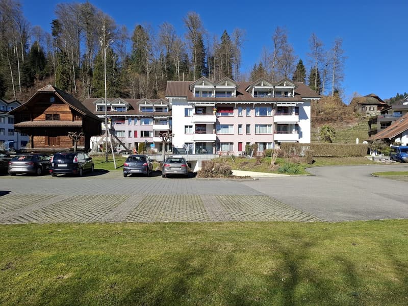 Appartamento di 4½ locali in una posizione tranquilla e naturale (10)