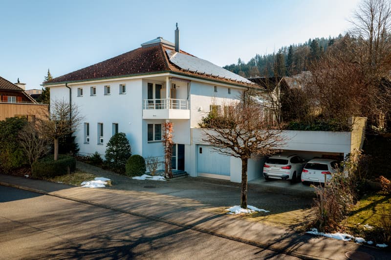 Family idyll in a preferred residential area (12)
